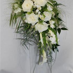 fwthumb1 (13).jpg